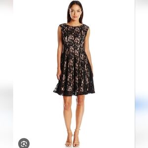 Julian Taylor New York Elegant Black Lace Fit And Flare Dress